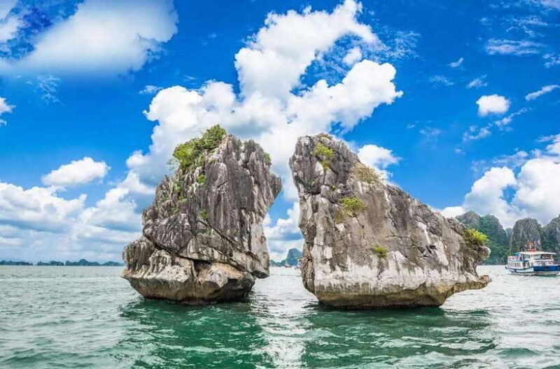 From Hanoi: Ha Long Bay 1 Day Tour With A Small Group - Inclusions and Services