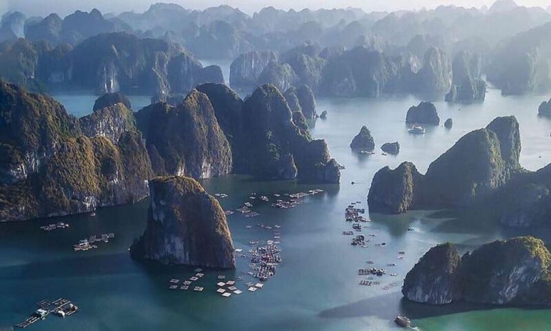 From Hanoi: Ha Long Bay Day Trip Tour - Transportation and Logistics