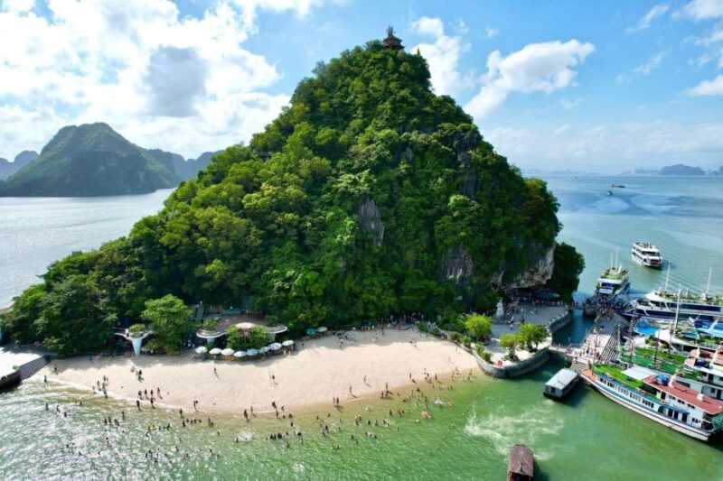 From Hanoi: Ha Long Bay Luxury Day Cruise Limousine Transfer - Cruise Activities