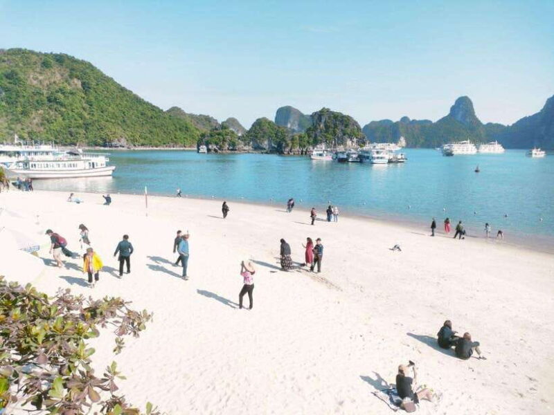 From Hanoi: Ha Long Bay Luxury Day Cruise With Food & Kayak - Onboard Amenities and Activities