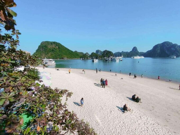 From Hanoi: Ha Long Bay Luxury Day Cruise With Food & Kayak - Exploring Caves and Islands