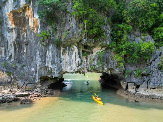From Hanoi: Halong Bay Cruise With Lunch and Transfers - Dining and Cuisine
