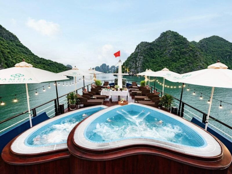 From Hanoi: Halong Bay Luxury Day Tour Kayaking, Swimming - Cruise Details