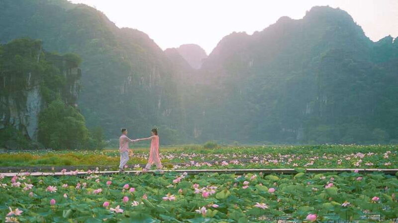 From Hanoi: Hoa Lu, Tam Coc, and Mua Cave Premium Group Tour - Key Points