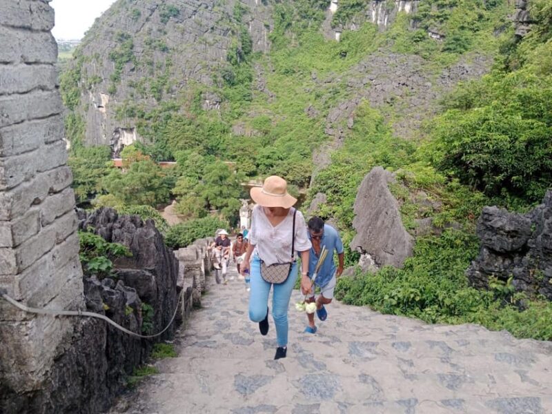 From Hanoi: Hoa Lu, Trang An, and Mua Cave Full Day - Transportation and Amenities