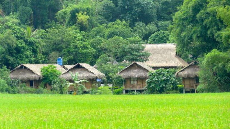 From Hanoi: Mai Chau 2-Day Tour With Biking and Trekking - Key Points