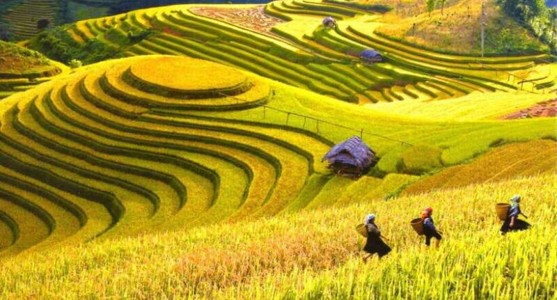 From Hanoi: Mai Chau 2-Day Tour With Biking and Trekking - What to Bring