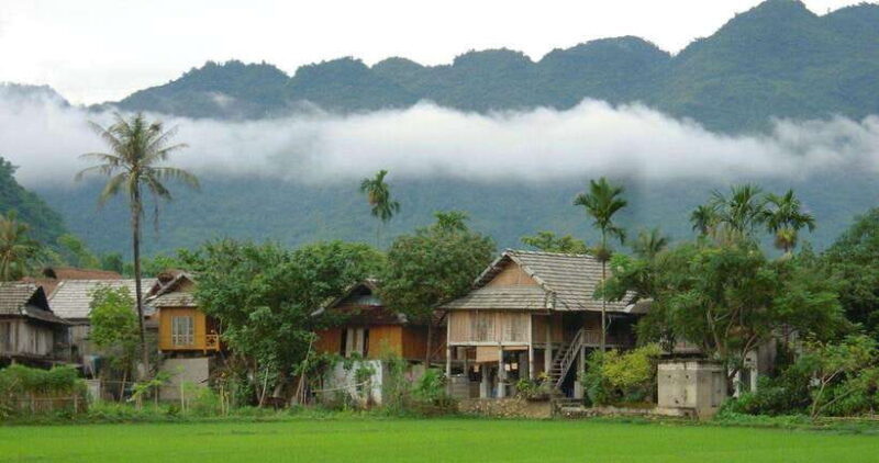 From Hanoi: Mai Chau and Pu Luong Nature Reserve 2-Day Tour - Trekking in Pu Luong Nature Reserve