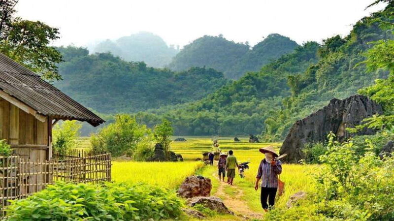 From Hanoi: Mai Chau Day Trip With Cycling and Lunch - Key Points