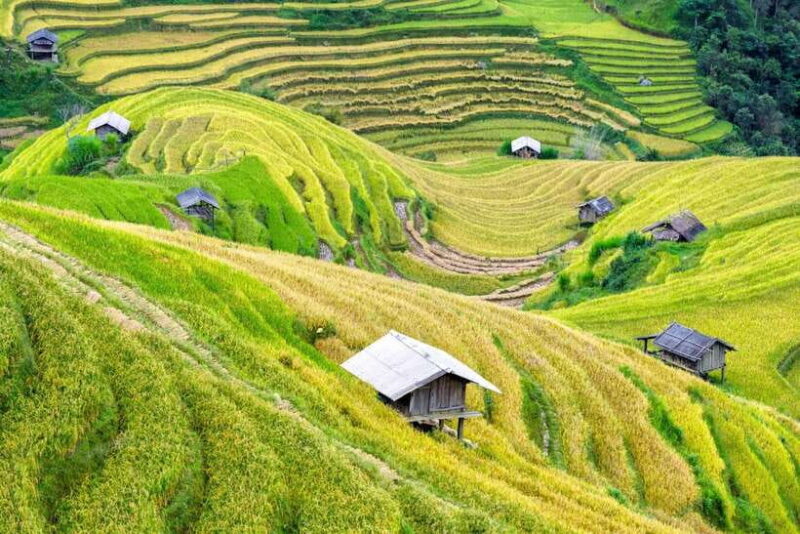 From Hanoi: Mai Chau Day Trip With Cycling and Lunch - Itinerary Highlights