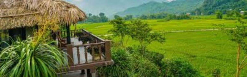 From Hanoi: Mai Chau Day Trip With Cycling and Lunch - Scenic Drive