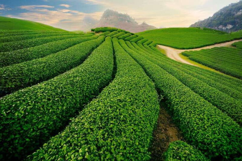 From Hanoi: Mai Chau Day Trip With Cycling and Lunch - Cycling Tour