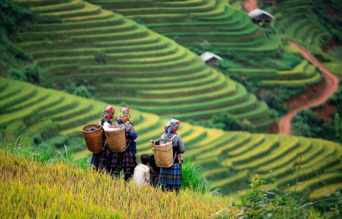 From Hanoi: Mai Chau Day Trip With Cycling and Lunch - Inclusions and Exclusions