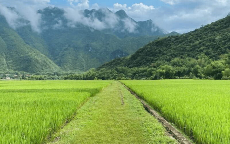 From Hanoi: Mai Chau Full-day Biking Tour - Experiencing a Traditional Homestay