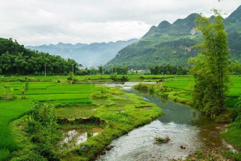 From Hanoi: Mai Chau Full-Day Guided Trip With Lunch - Key Points