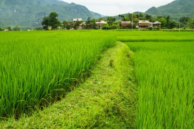 From Hanoi: Mai Chau Full-Day Guided Trip With Lunch - Inclusions and Logistics