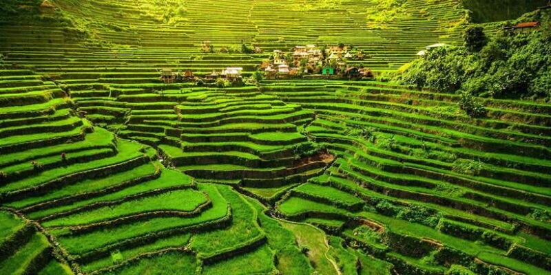 From Hanoi: Mai Chau Valley 2-Day Tour With Homestay - Key Points