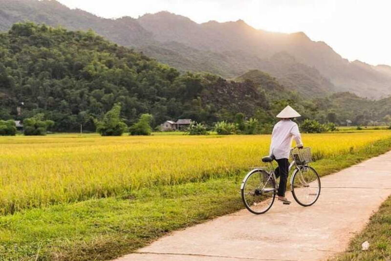 From Hanoi: Mai Chau Valley Day Trip With Biking Tour - Lunch and Dining Options