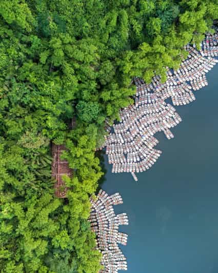 From Hanoi: Mua Cave, Trang An and Hoa Lu Day Trip - Key Points