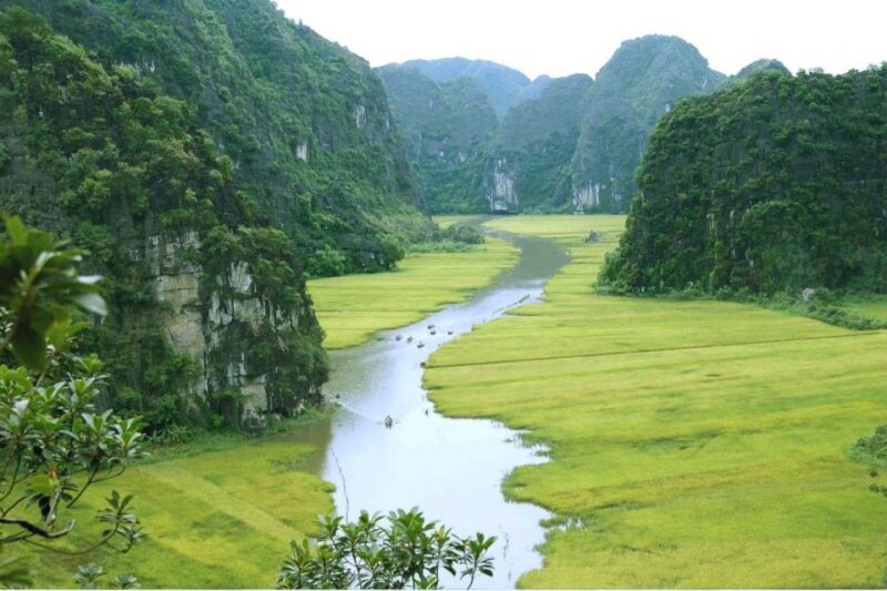 From Hanoi: Ninh Binh & Cuc Phuong National Park 2-Day Tour - Highlights