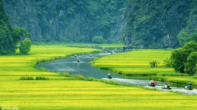 From Hanoi: Ninh Binh Day Trip ( Hoa Lu- Tam Coc- Mua Cave ) - Itinerary Highlights