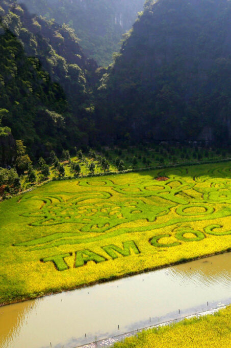 From Hanoi: Ninh Binh Day Trip ( Hoa Lu- Tam Coc- Mua Cave ) - Boat Rides and Activities