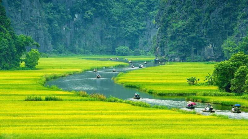 From Hanoi: Ninh Binh, Hoa Lu, Tam Coc Boat Trip & Mua Cave - Inclusions and Exclusions