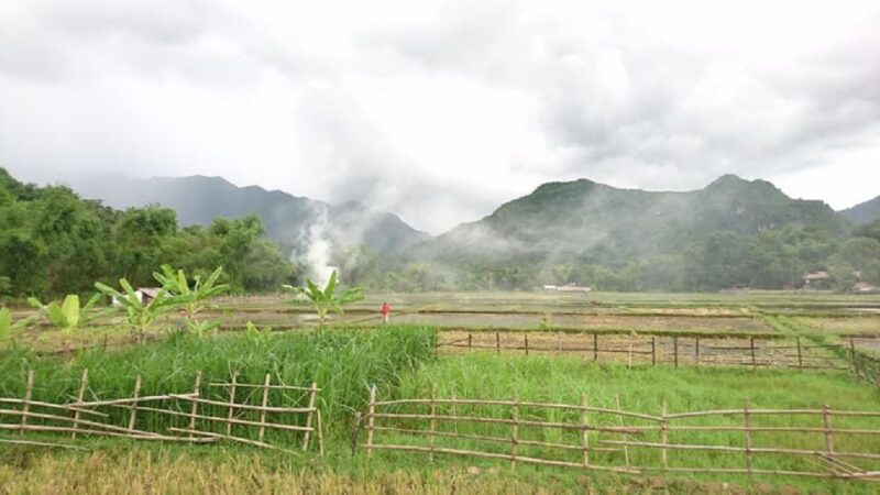 From Hanoi: Ninh Binh-Hoa Lu-Trang An-Mua Cave-Buffet Lunch - Trang An Boat Ride