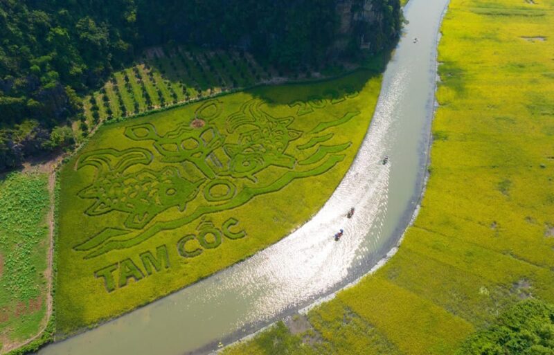 From Hanoi: Ninh Binh Private Tour 2 Days 1 Night - Itinerary Highlights
