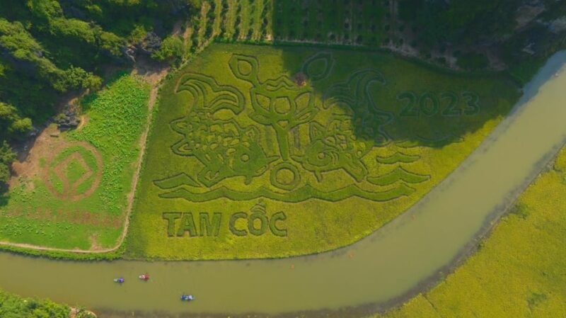 From Hanoi: Ninh Binh Private Tour 2 Days 1 Night - Day 1 Activities