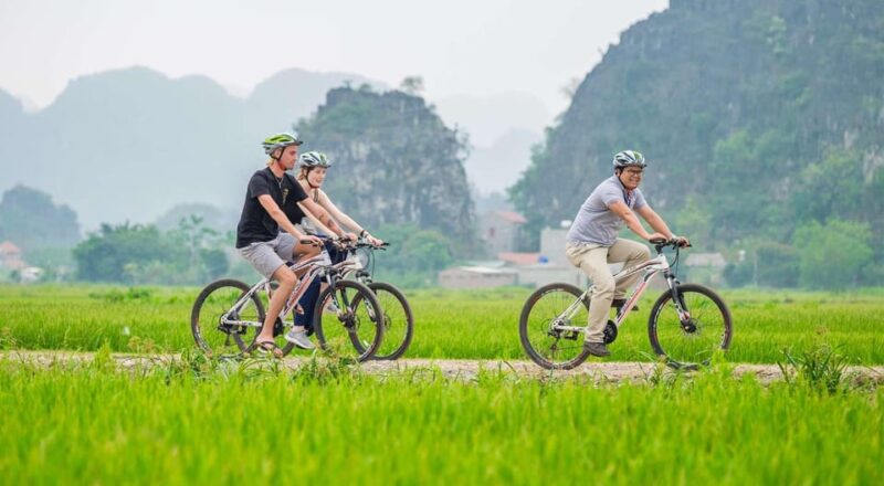 From Hanoi: Ninh Binh Province Day Trip With Buffet Lunch - Itinerary Highlights