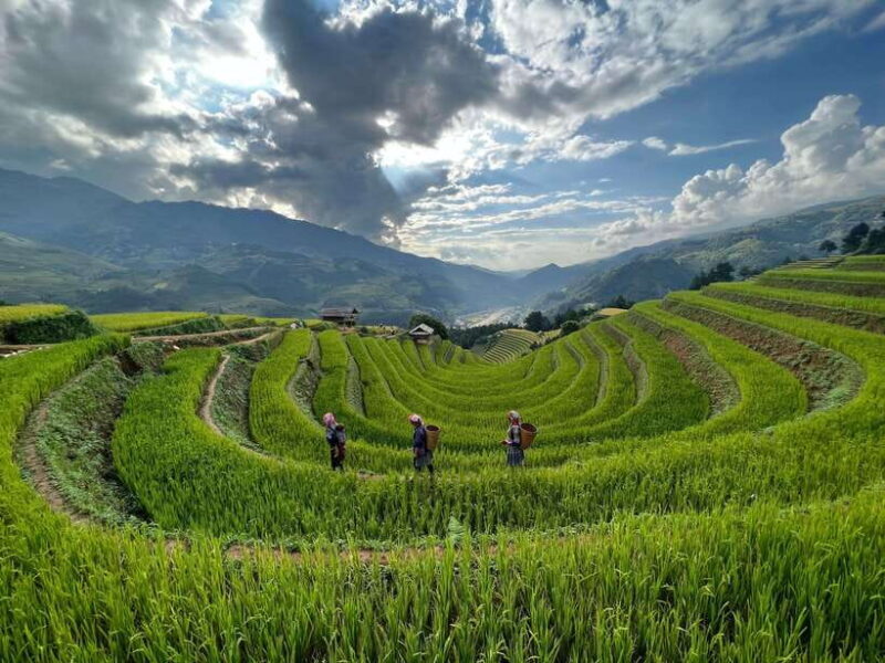 From Hanoi: Private Car Tour Sapa - Ban Gioc Falls - Cat Ba - Important Information