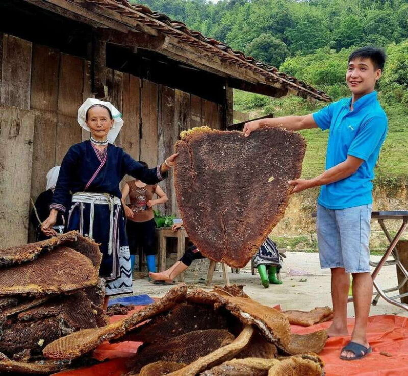 From Hanoi: Private Car Tour Sapa - Ban Gioc Falls - Cat Ba - Frequently Asked Questions