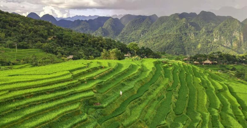 From Hanoi: Pu Luong 2 Days Journey to Beautiful Nature. - Itinerary Highlights