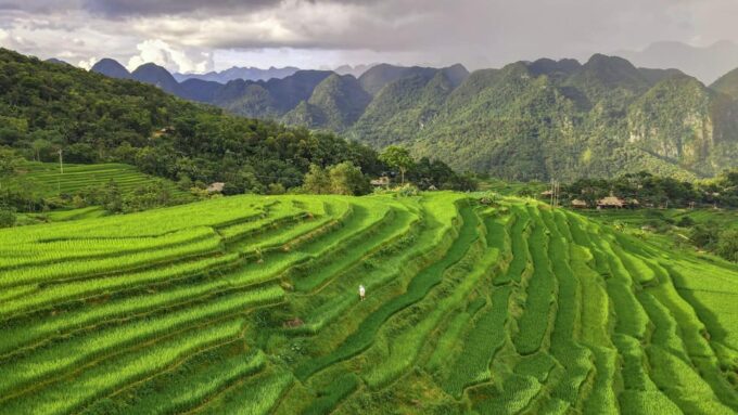 From Hanoi: Pu Luong 2 Days Journey to Beautiful Nature. - Group Size and Guides