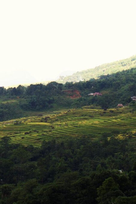 From Hanoi: Pu Luong 2 Days Journey to Beautiful Nature. - Cancellation Policy