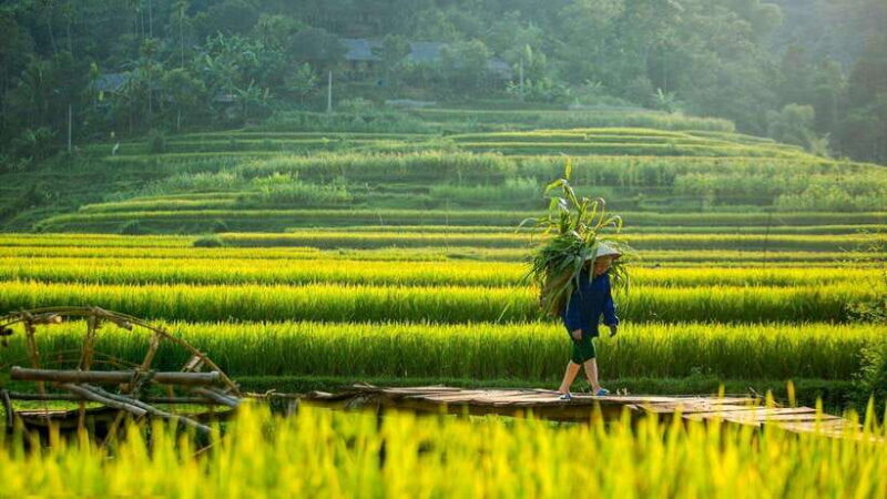 From Hanoi: Pu Luong Nature Reserve 2-Day Trek - Overview and Highlights