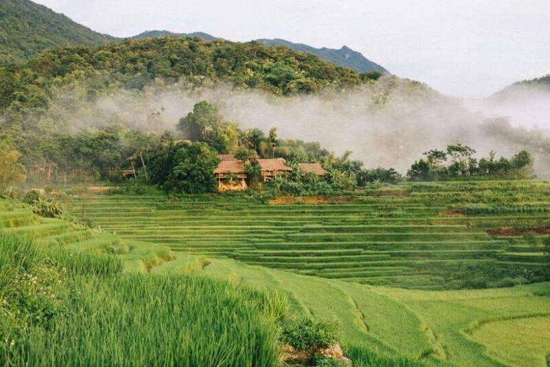 From Hanoi: Pu Luong Nature Reserve 3-Day Package Tour - Tour Overview and Pricing