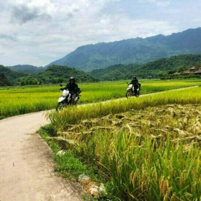 From Hanoi: Pu Luong Nature Reserve Motorbike Tour - 2D1N - Duration and Price