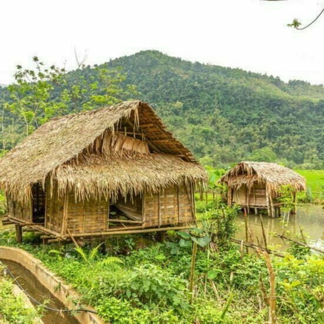 From Hanoi: Pu Luong Nature Reserve Vacation 2D1N - Suitability and Considerations