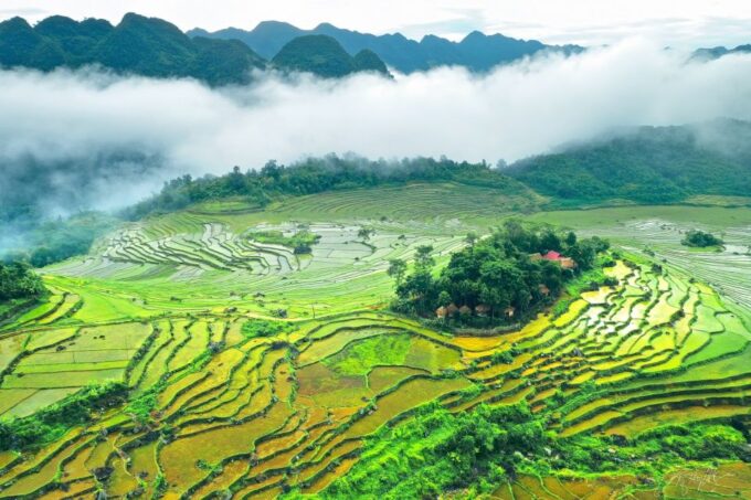 From Hanoi: Pu Luong & Ninh Binh Caves 4-Day Trip With Meals - Mua Cave Viewpoint