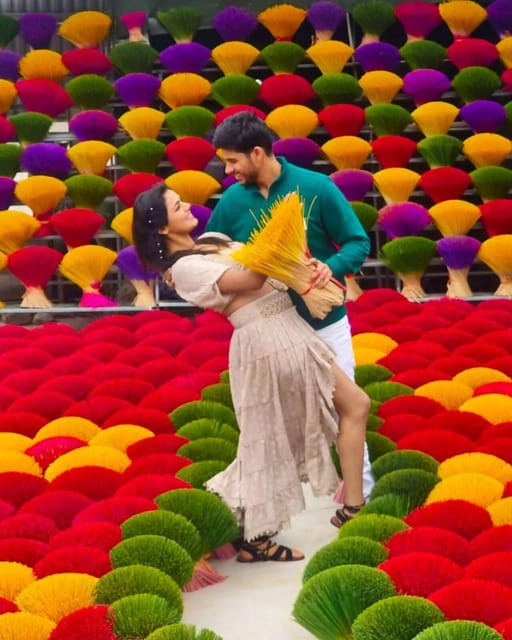 From Hanoi: Quang Phu Cau Incense Village Private Day Trip - Frequently Asked Questions