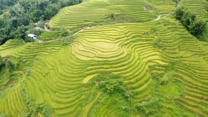 From Hanoi: Sapa 2 Day 1 Night At Sapa Retreat Condotel - Recap