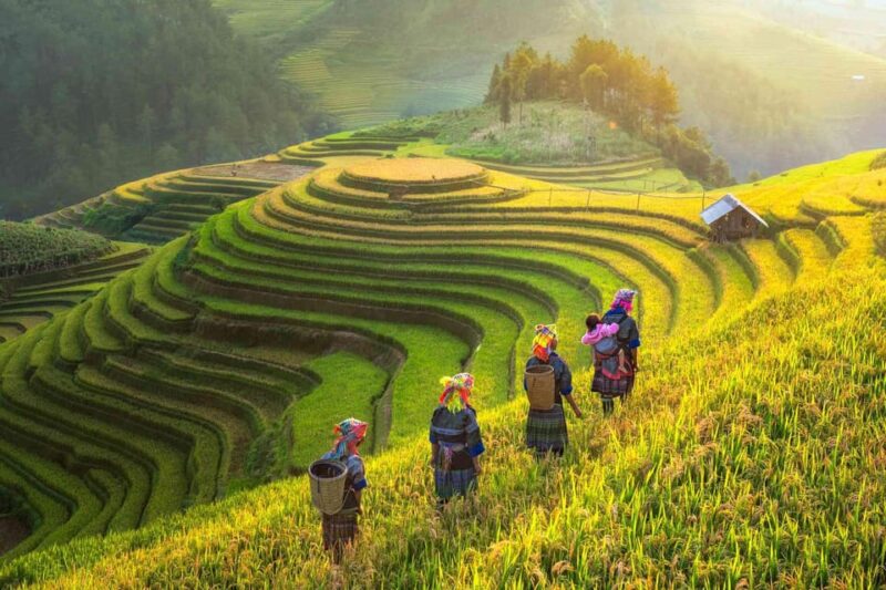 From Hanoi: Sapa 2 Days 1 Night Sleeping at Homestay - Scenic Views of Northwest Mountains