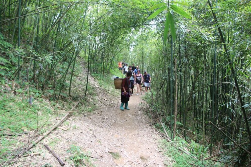 From Hanoi: Sapa 2 Days 1 Night Trekking With Local People - Day 1 Itinerary