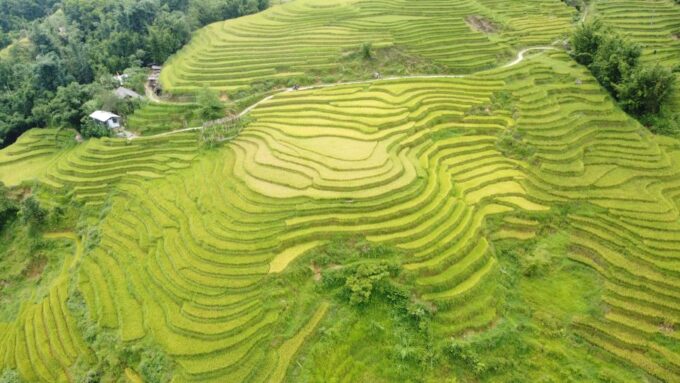 From Hanoi: Sapa 2 Days 1 Night Trekking With Local People - Frequently Asked Questions