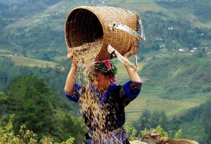 From Hanoi: Sapa 2-Days Trekking and Fansipan Peak Tour - Accommodation and Meals