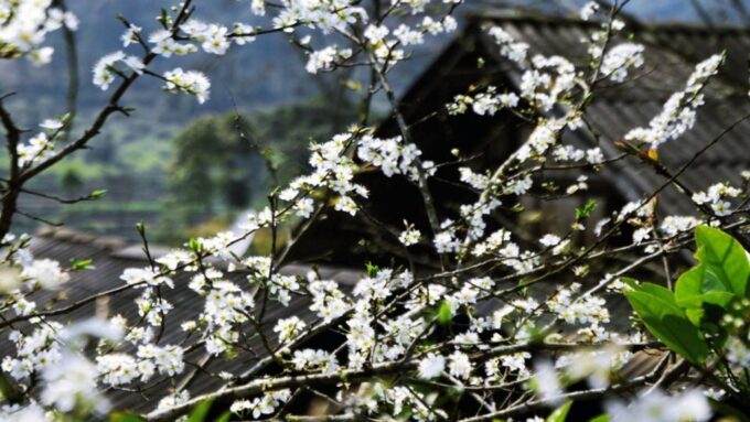 From Hanoi: Sapa 3-Day Medium Trek and Limousine Trip - Returning to Hanoi