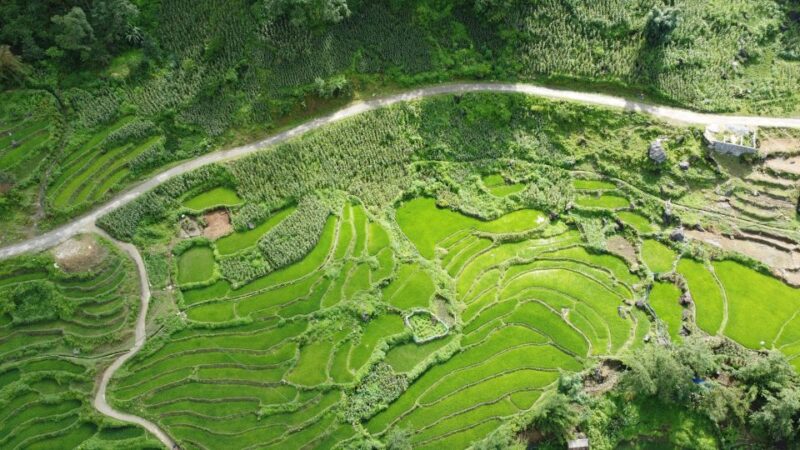 From Hanoi: Sapa 3 Days 2 Nights 1 Hotel 1 Homestay Village - Visiting Sapa Town and Cat Cat Village