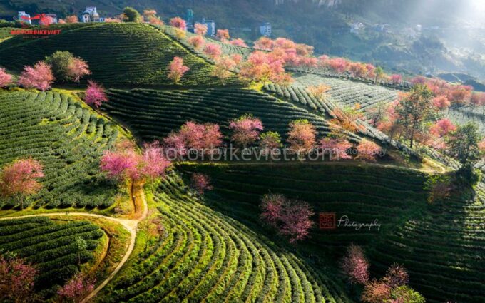 From Hanoi: Sapa 3 Days 2 Nights In the Evening - Inclusions and Exclusions